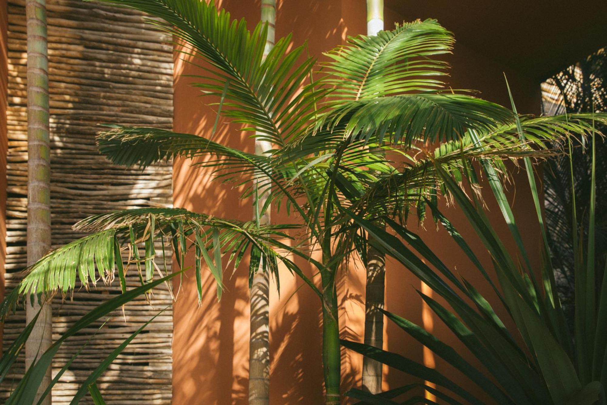 Salobre Hotel Resort & Serenity Μασπαλόμας Εξωτερικό φωτογραφία
